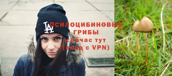 каннабис Белокуриха
